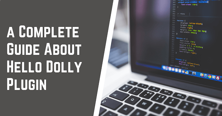 Complete Guide About Hello Dolly Plugin